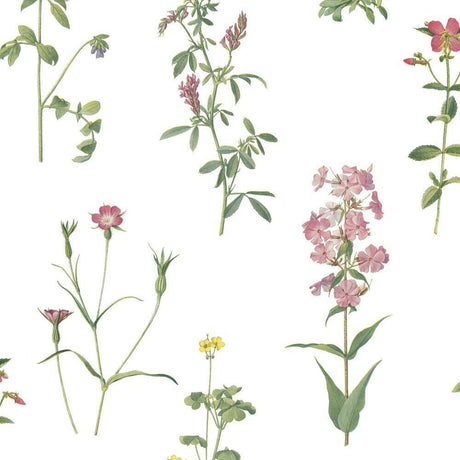 RoomMates RMK11644RL Botanical Peel and Stick Wallpaper - Eade's Wallpaper