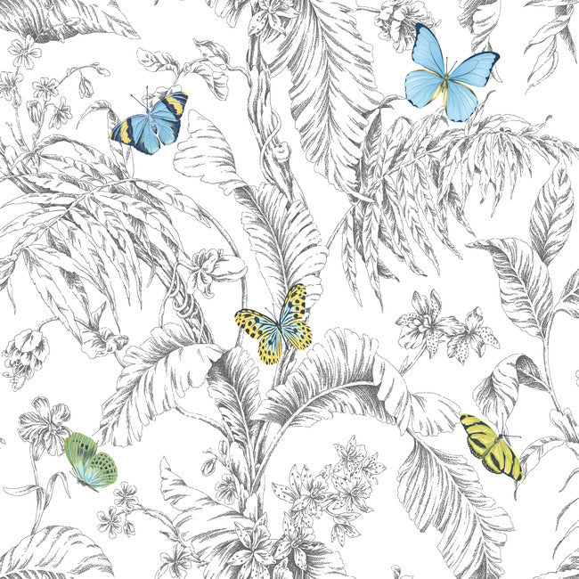 RoomMates RMK11823WP Butterfly Sketch Peel and Stick Wallpaper - Eade's Wallpaper