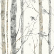RoomMates RMK9047WP Birch Trees Peel and Stick Wallpaper - Eade's Wallpaper