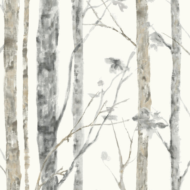 RoomMates RMK9047WP Birch Trees Peel and Stick Wallpaper - Eade's Wallpaper