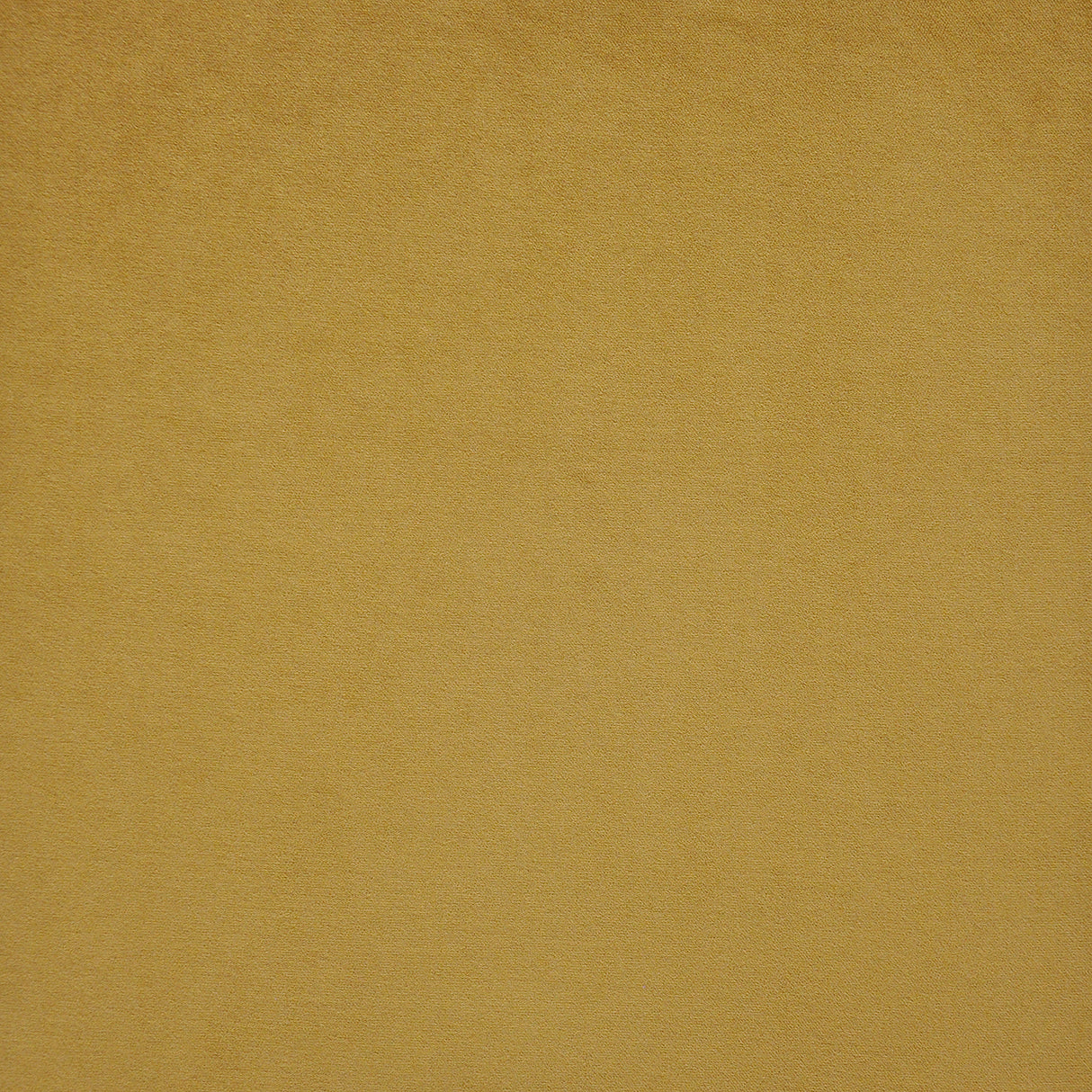 Eade’s # 720 SAFFRON