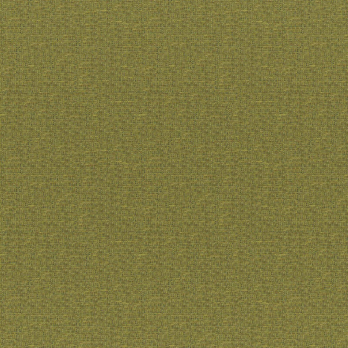 Eade’s # 833 FERN