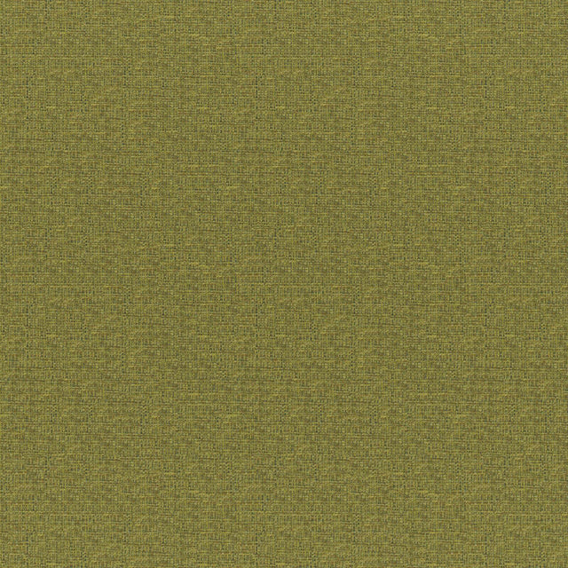 Eade’s # 833 FERN