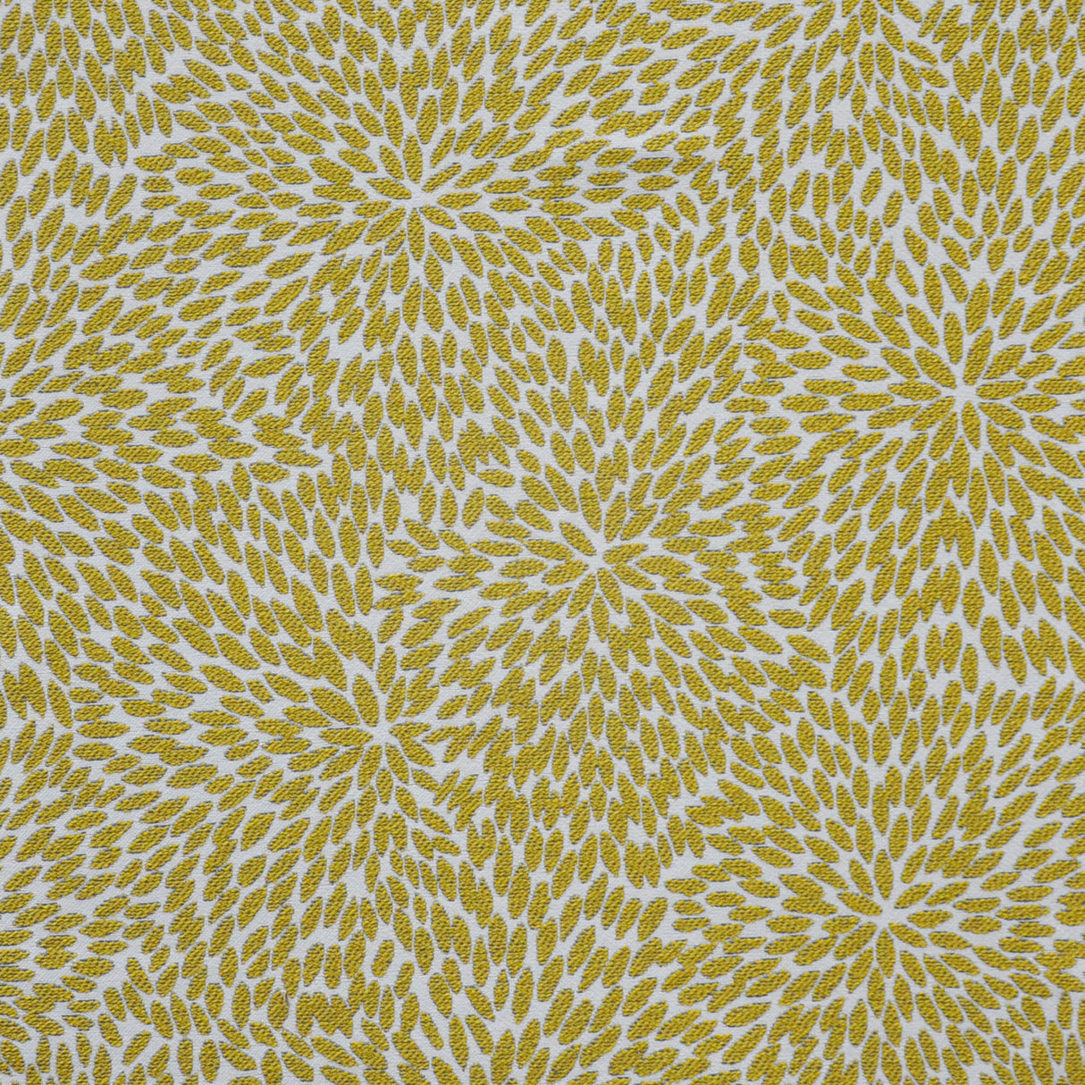 Eade’s # 732 MARIGOLD