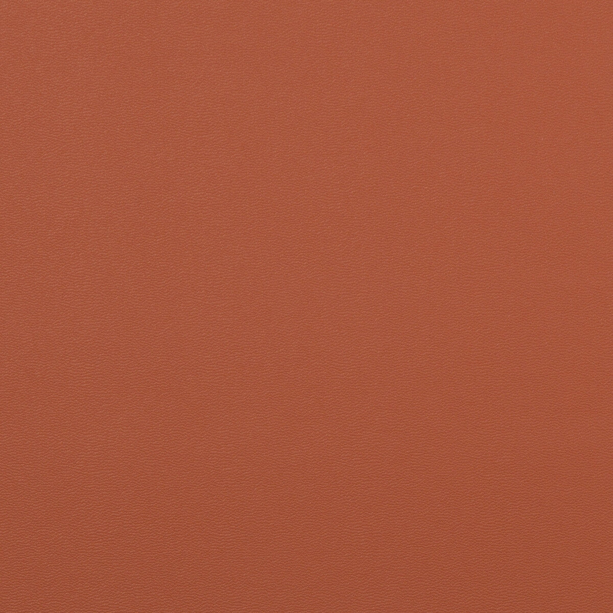 KRAVET CONTRACT ROCK SOLID.24.0 ROCK SOLID PAPRIKA Fabric - Eade's Wallpaper