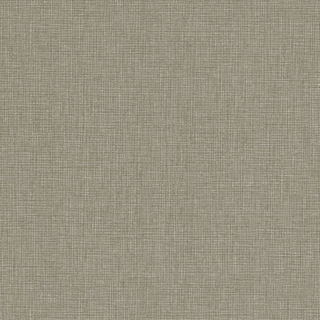 Eade’s # 197 CIRRUS