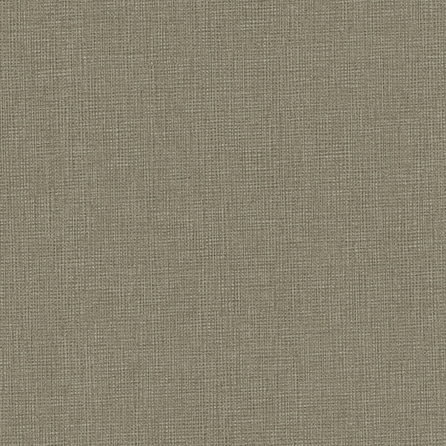 Eade’s # 199 SEABIRD