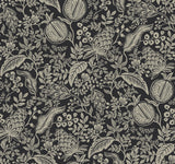 York RP7389 Pomegranate Black Wallpaper