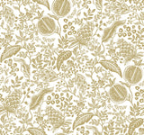 York RP7391 Pomegranate White Wallpaper