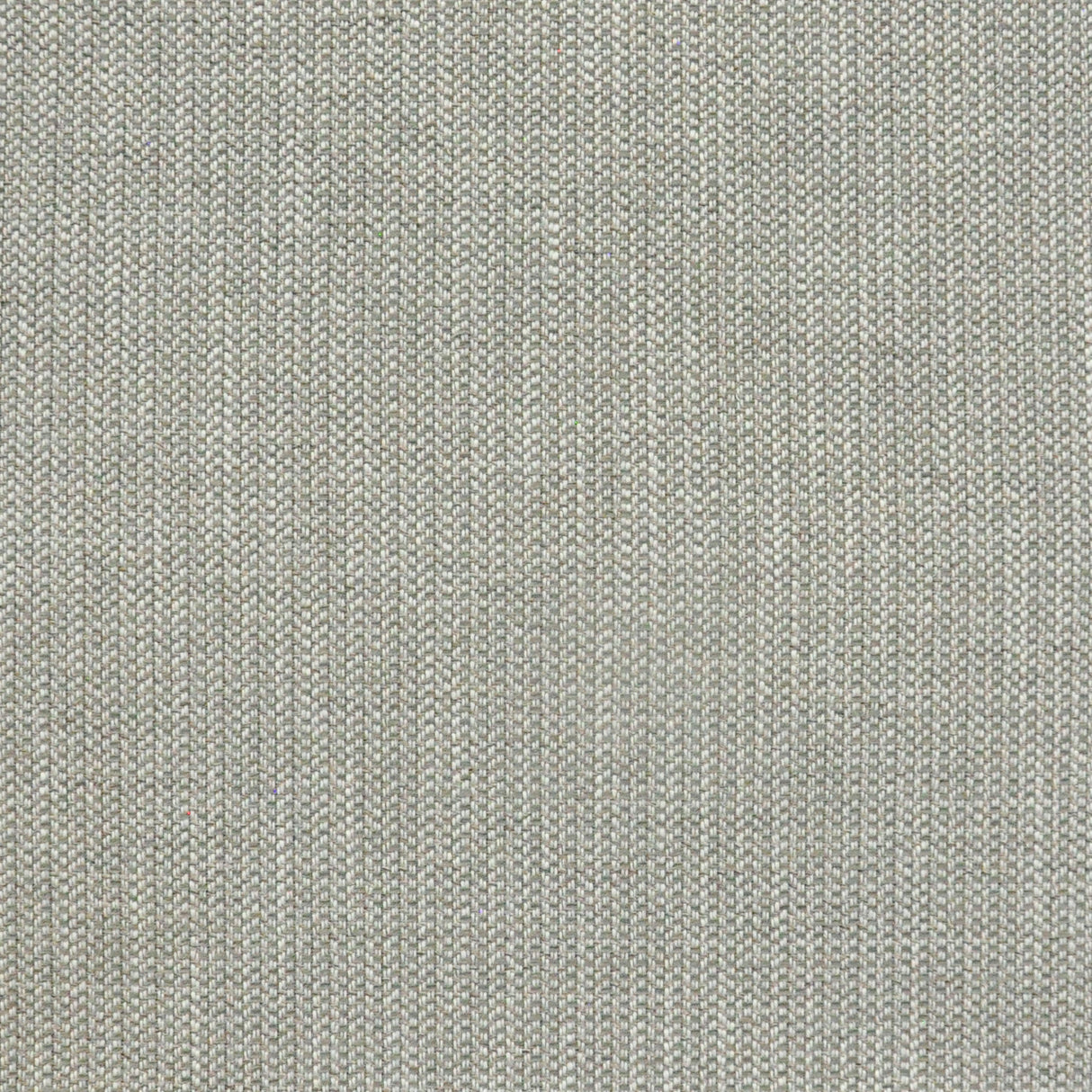 Eade’s # 840 COYOTE