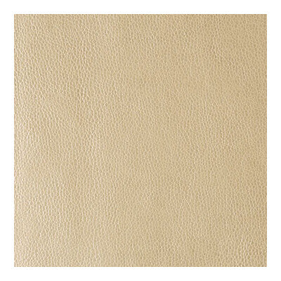KRAVET CONTRACT RUMORS.116.0 RUMORS GOLD DUST Fabric - Eade's Wallpaper