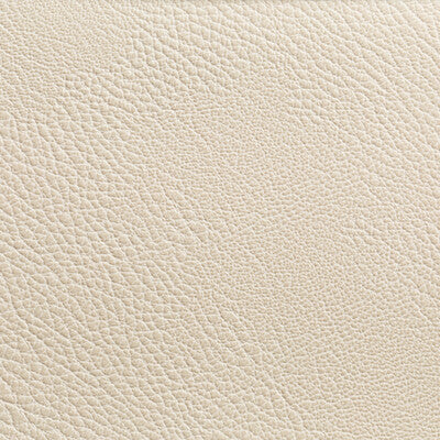 KRAVET CONTRACT RUSTLER.111.0 RUSTLER GYPSUM Fabric - Eade's Wallpaper