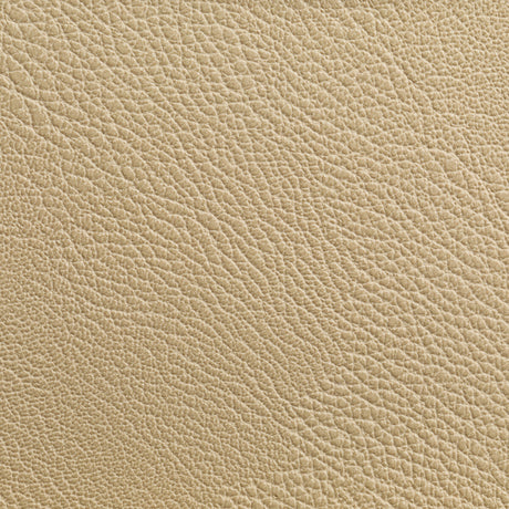 KRAVET CONTRACT RUSTLER.116.0 RUSTLER WHEAT Fabric - Eade's Wallpaper