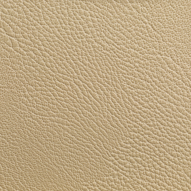 KRAVET CONTRACT RUSTLER.116.0 RUSTLER WHEAT Fabric - Eade's Wallpaper