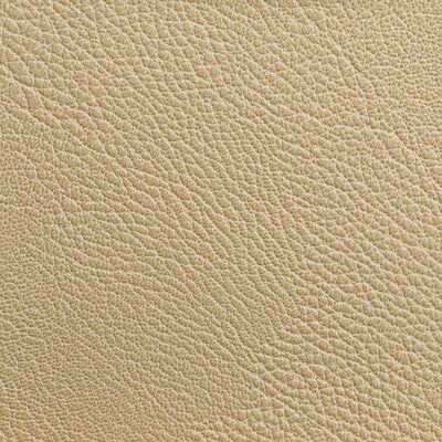 KRAVET CONTRACT RUSTLER.116.0 RUSTLER WHEAT Fabric - Eade's Wallpaper