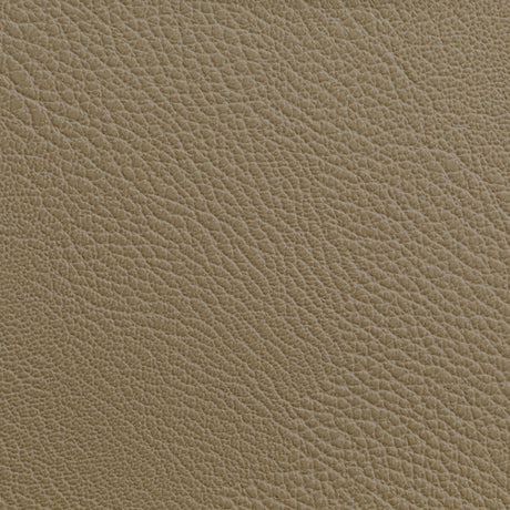 KRAVET CONTRACT RUSTLER.16.0 RUSTLER CASHEW Fabric - Eade's Wallpaper