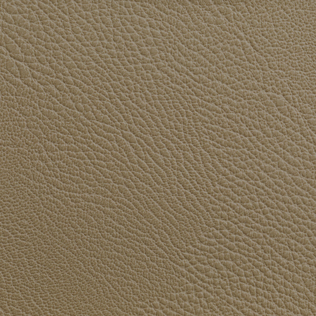 KRAVET CONTRACT RUSTLER.16.0 RUSTLER CASHEW Fabric - Eade's Wallpaper