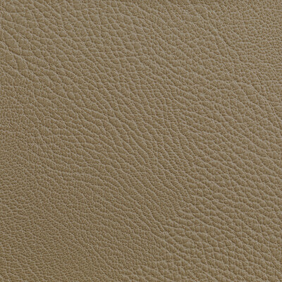 KRAVET CONTRACT RUSTLER.16.0 RUSTLER CASHEW Fabric - Eade's Wallpaper