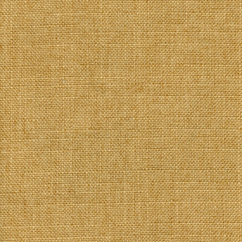 Eade’s RUZGAR GOLD GOLD