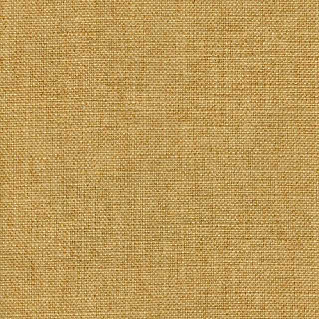 Eade’s RUZGAR GOLD GOLD