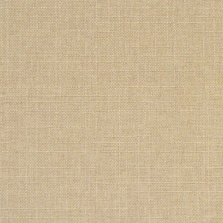 Eade’s RUZGAR SAND SAND