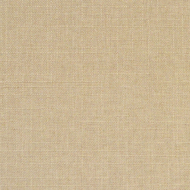 Eade’s RUZGAR SAND SAND