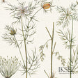 Schumacher RW417CS70 HERBIER in WHITE Wallpaper - IKSEL