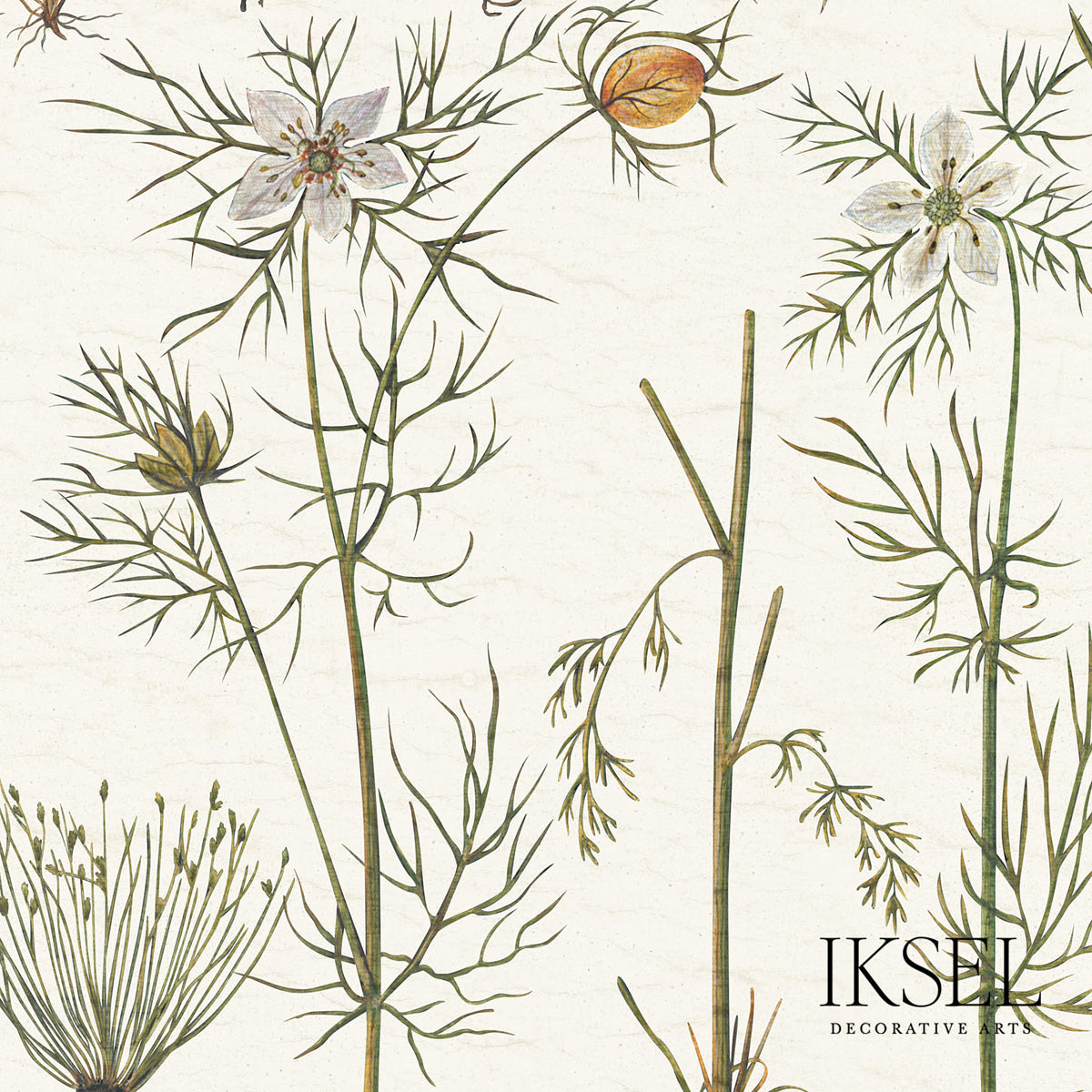 Schumacher RW417CS70 HERBIER in WHITE Wallpaper - IKSEL