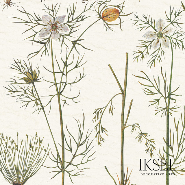 Schumacher RW417CS70 HERBIER in WHITE Wallpaper - IKSEL