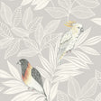 Seabrook Designs RY30100 Wallpaper - Eade's Wallpaper & Fabric