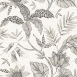 Seabrook Designs RY30205 Wallpaper - Eade's Wallpaper & Fabric