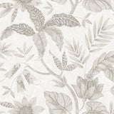 Seabrook Designs RY30208 Wallpaper - Eade's Wallpaper & Fabric