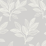 Seabrook Designs RY30800 Wallpaper - Eade's Wallpaper & Fabric