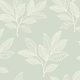 Seabrook Designs RY30804 Wallpaper - Eade's Wallpaper & Fabric