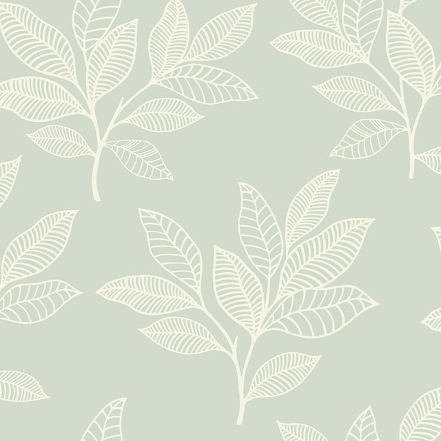 Seabrook Designs RY30804 Wallpaper - Eade's Wallpaper & Fabric