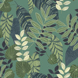 Seabrook Designs RY30914 Wallpaper - Eade's Wallpaper & Fabric