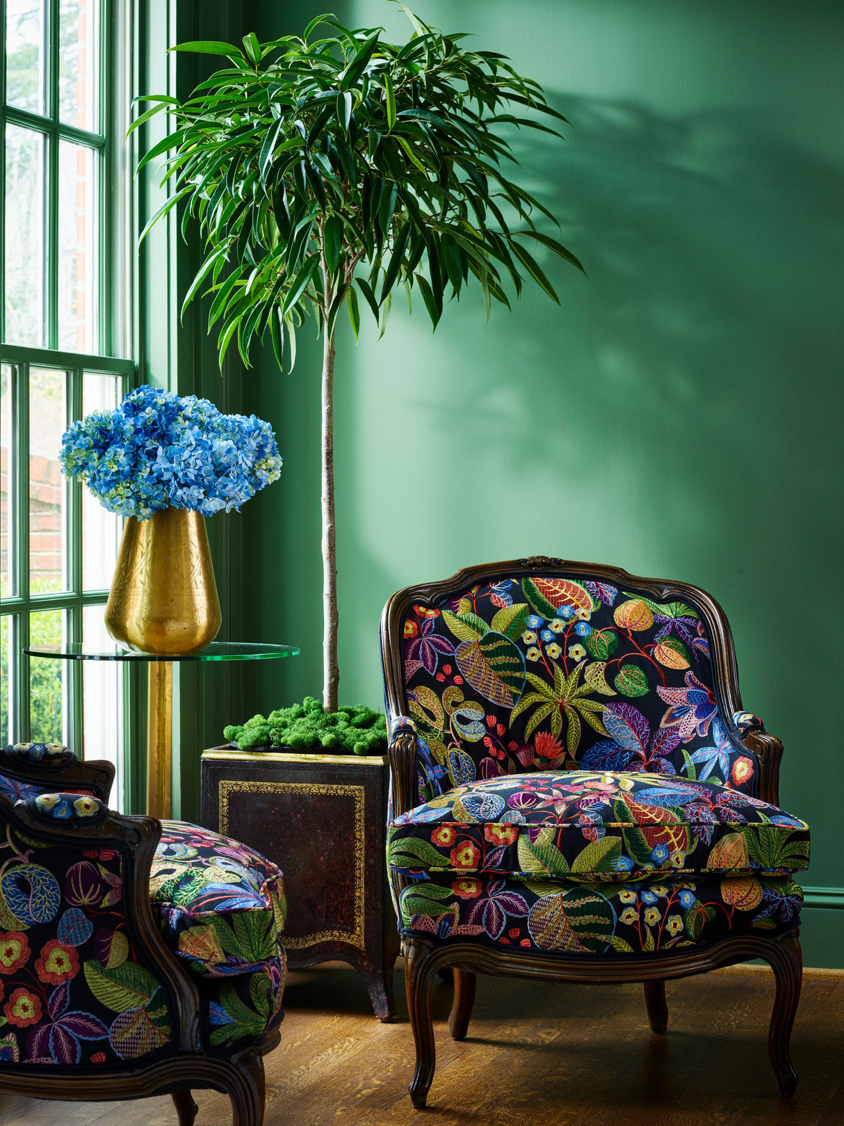 Scalamandre S7 00035400 NIGHT SHADE GREENHOUSE Fabric - Eade's Wallpaper