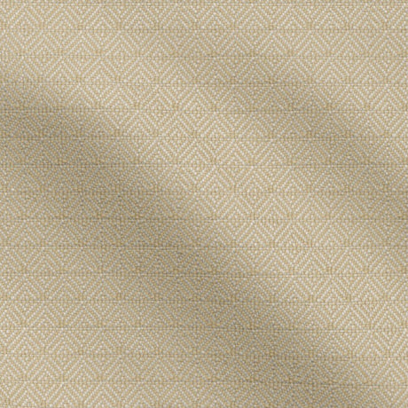 FibreGuard Outdoor 34-J9651 SAGO Fabric