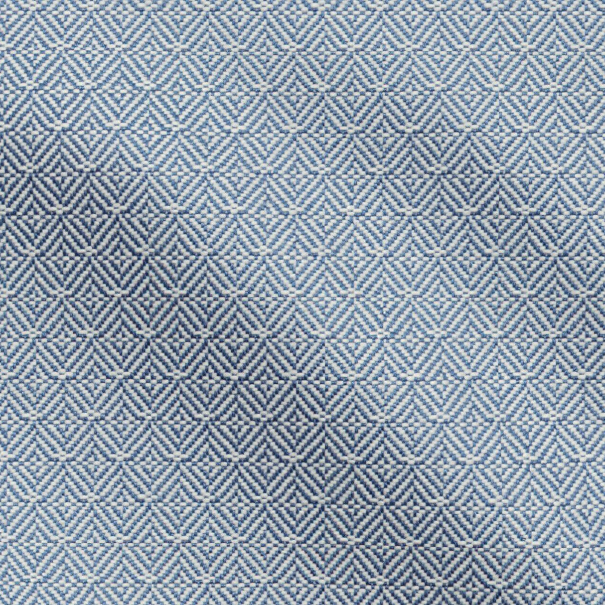 FibreGuard Outdoor 65-J9651 SAGO Fabric