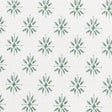 Eade's SALZ-1-sample FERN