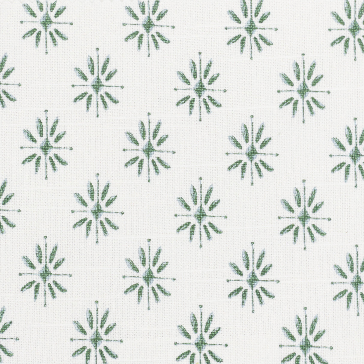 Eade's SALZ-1-sample FERN