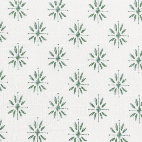 Eade's SALZ-1-sample FERN