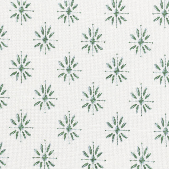 Eade's SALZ-1-sample FERN