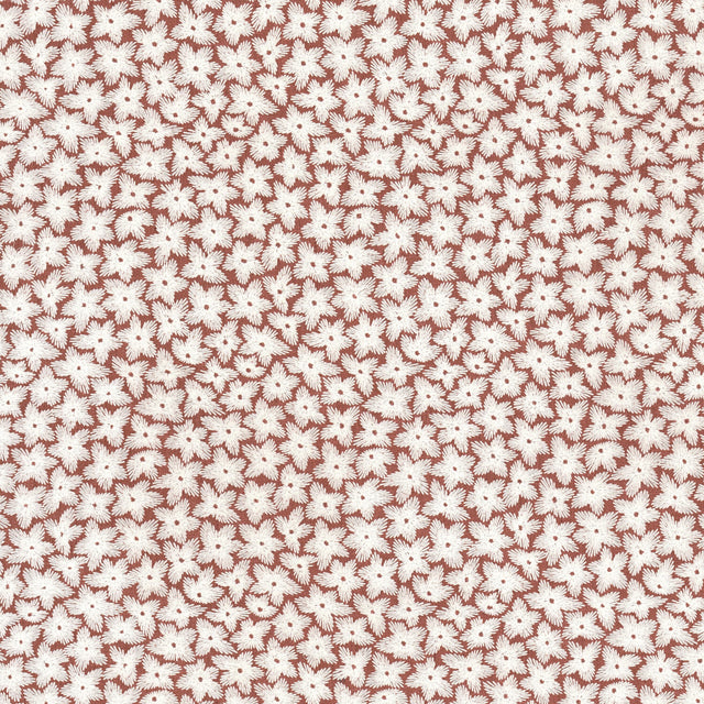 Eade's SANG-1-sample CLAY