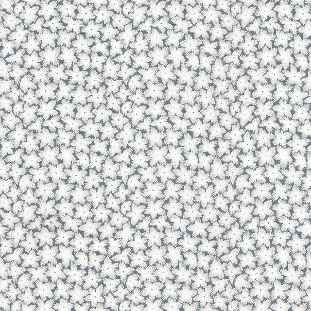 Eade's SANG-2-sample PERIWINKLE