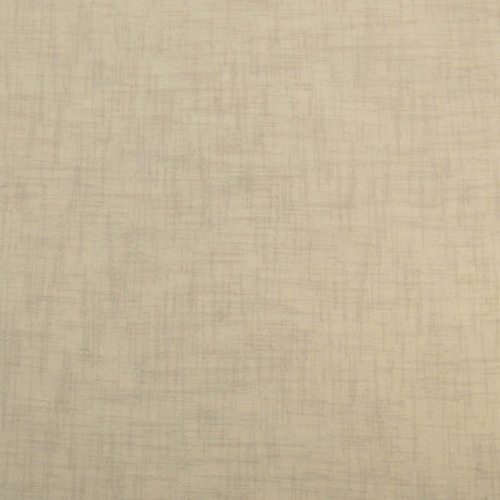 Eade’s SANIBEL SILVER SILVER