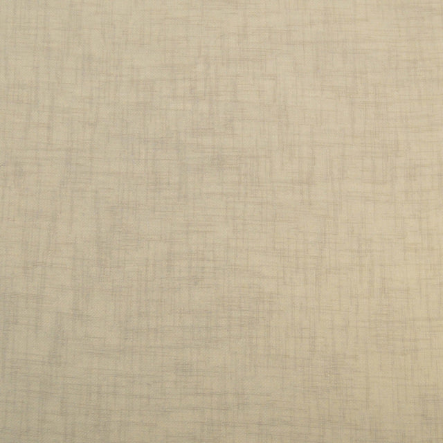 Eade’s SANIBEL SILVER SILVER