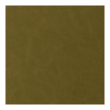 KRAVET CONTRACT SANTINA.30.0 SANTINA WASABI Fabric - Eade's Wallpaper