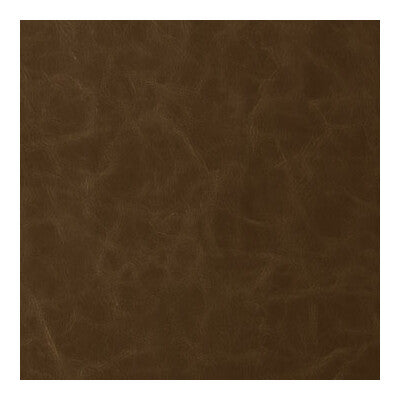 KRAVET CONTRACT SANTINA.606.0 SANTINA WALNUT Fabric - Eade's Wallpaper