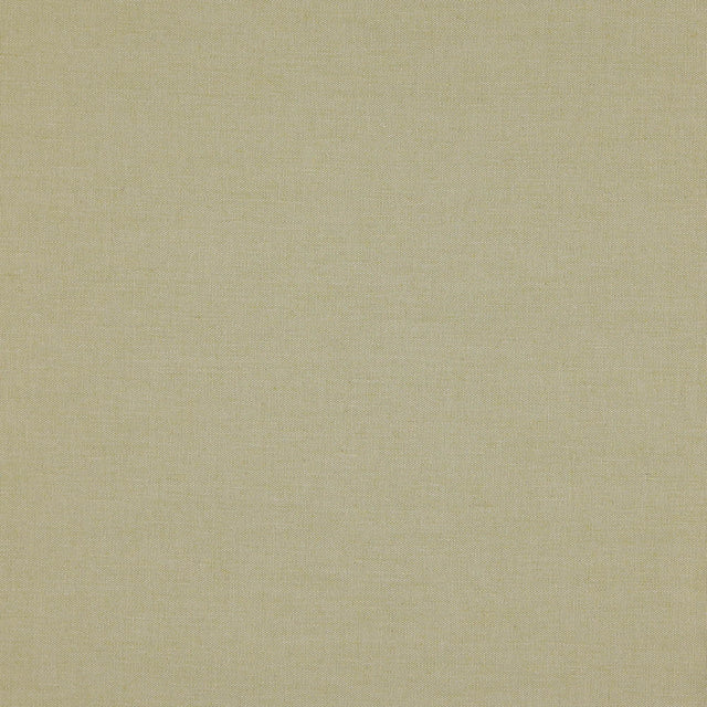 JF Fabrics 74-J7301 SASSY Fabric